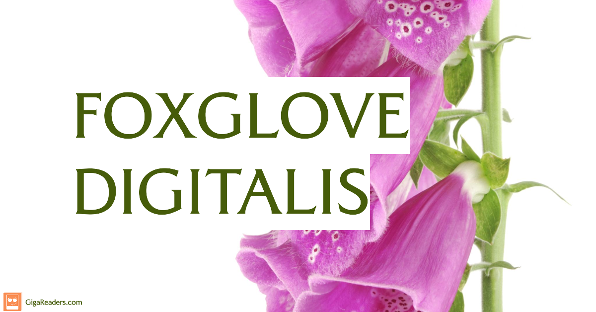 Foxglove-Digitalis